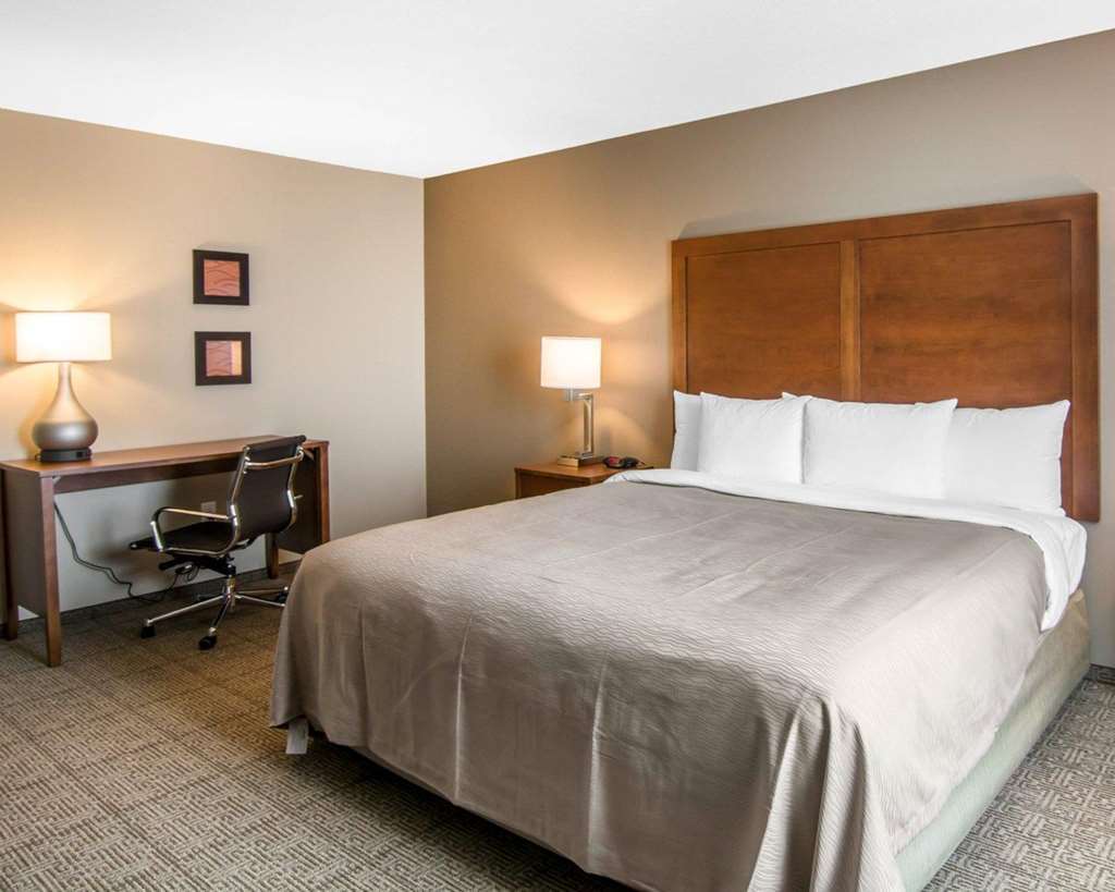 Comfort Inn South Chesterfield - Colonial Heights Rum bild