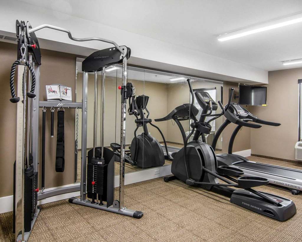 Comfort Inn South Chesterfield - Colonial Heights Bekvämligheter bild