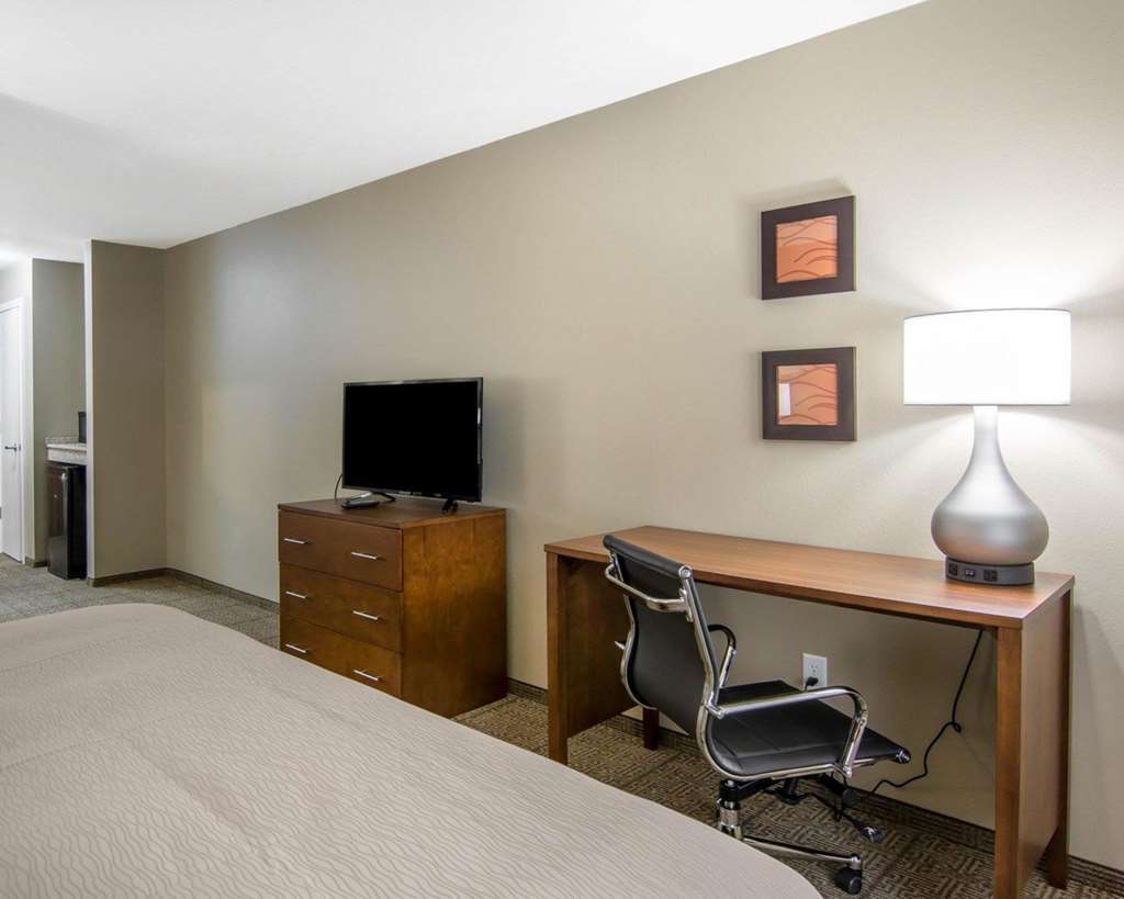 Comfort Inn South Chesterfield - Colonial Heights Rum bild